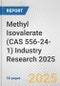 Methyl Isovalerate (CAS 556-24-1) Industry Research 2025: Global and Regional Market Trends 2019-2024 and Forecast to 2029 - Product Thumbnail Image