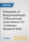 Potassium (4-Benzyloxyphenyl)-Trifluoroborate (CAS 850623-47-1) Industry Research 2025: Global and Regional Market Trends 2019-2024 and Forecast to 2029 - Product Image