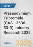 Praseodymium Tribromide (CAS 13536-53-3) Industry Research 2025: Global and Regional Market Trends 2019-2024 and Forecast to 2029- Product Image