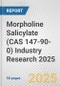 Morpholine Salicylate (CAS 147-90-0) Industry Research 2025: Global and Regional Market Trends 2019-2024 and Forecast to 2029 - Product Image