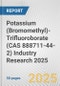 Potassium (Bromomethyl)-Trifluoroborate (CAS 888711-44-2) Industry Research 2025: Global and Regional Market Trends 2019-2024 and Forecast to 2029 - Product Image
