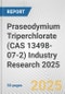 Praseodymium Triperchlorate (CAS 13498-07-2) Industry Research 2025: Global and Regional Market Trends 2019-2024 and Forecast to 2029 - Product Image