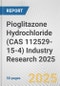 Pioglitazone Hydrochloride (CAS 112529-15-4) Industry Research 2025: Global and Regional Market Trends 2019-2024 and Forecast to 2029 - Product Thumbnail Image