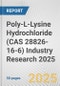 Poly-L-Lysine Hydrochloride (CAS 28826-16-6) Industry Research 2025: Global and Regional Market Trends 2019-2024 and Forecast to 2029 - Product Thumbnail Image