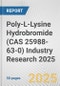 Poly-L-Lysine Hydrobromide (CAS 25988-63-0) Industry Research 2025: Global and Regional Market Trends 2019-2024 and Forecast to 2029 - Product Thumbnail Image