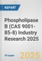 Phospholipase B (CAS 9001-85-8) Industry Research 2025: Global and Regional Market Trends 2019-2024 and Forecast to 2029 - Product Thumbnail Image