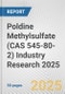 Poldine Methylsulfate (CAS 545-80-2) Industry Research 2025: Global and Regional Market Trends 2019-2024 and Forecast to 2029 - Product Image