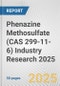 Phenazine Methosulfate (CAS 299-11-6) Industry Research 2025: Global and Regional Market Trends 2019-2024 and Forecast to 2029 - Product Image
