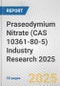 Praseodymium Nitrate (CAS 10361-80-5) Industry Research 2025: Global and Regional Market Trends 2019-2024 and Forecast to 2029 - Product Thumbnail Image