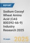 Sodium Cocoyl Wheat Amino Acid (CAS 800392-66-9) Industry Research 2025: Global and Regional Market Trends 2019-2024 and Forecast to 2029 - Product Image