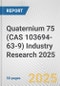 Quaternium 75 (CAS 103694-63-9) Industry Research 2025: Global and Regional Market Trends 2019-2024 and Forecast to 2029 - Product Thumbnail Image