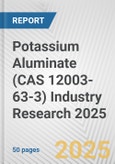 Potassium Aluminate (CAS 12003-63-3) Industry Research 2025: Global and Regional Market Trends 2019-2024 and Forecast to 2029- Product Image