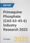 Primaquine Phosphate (CAS 63-45-6) Industry Research 2025: Global and Regional Market Trends 2019-2024 and Forecast to 2029 - Product Thumbnail Image