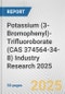 Potassium (3-Bromophenyl)-Trifluoroborate (CAS 374564-34-8) Industry Research 2025: Global and Regional Market Trends 2019-2024 and Forecast to 2029 - Product Image