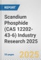 Scandium Phosphide (CAS 12202-43-6) Industry Research 2025: Global and Regional Market Trends 2019-2024 and Forecast to 2029 - Product Thumbnail Image