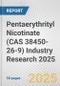 Pentaerythrityl Nicotinate (CAS 38450-26-9) Industry Research 2025: Global and Regional Market Trends 2019-2024 and Forecast to 2029 - Product Image