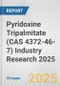 Pyridoxine Tripalmitate (CAS 4372-46-7) Industry Research 2025: Global and Regional Market Trends 2019-2024 and Forecast to 2029 - Product Image