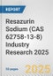 Resazurin Sodium (CAS 62758-13-8) Industry Research 2025: Global and Regional Market Trends 2019-2024 and Forecast to 2029 - Product Thumbnail Image