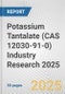 Potassium Tantalate (CAS 12030-91-0) Industry Research 2025: Global and Regional Market Trends 2019-2024 and Forecast to 2029 - Product Thumbnail Image