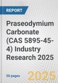 Praseodymium Carbonate (CAS 5895-45-4) Industry Research 2025: Global and Regional Market Trends 2019-2024 and Forecast to 2029- Product Image