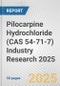 Pilocarpine Hydrochloride (CAS 54-71-7) Industry Research 2025: Global and Regional Market Trends 2019-2024 and Forecast to 2029 - Product Image