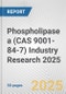Phospholipase a (CAS 9001-84-7) Industry Research 2025: Global and Regional Market Trends 2019-2024 and Forecast to 2029 - Product Thumbnail Image