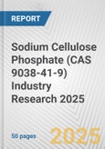 Sodium Cellulose Phosphate (CAS 9038-41-9) Industry Research 2025: Global and Regional Market Trends 2019-2024 and Forecast to 2029- Product Image