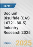 Sodium Bisulfide (CAS 16721-80-5) Industry Research 2025: Global and Regional Market Trends 2019-2024 and Forecast to 2029- Product Image
