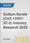Sodium Borate (CAS 12007-92-0) Industry Research 2025: Global and Regional Market Trends 2019-2024 and Forecast to 2029 - Product Image