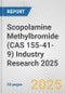 Scopolamine Methylbromide (CAS 155-41-9) Industry Research 2025: Global and Regional Market Trends 2019-2024 and Forecast to 2029 - Product Thumbnail Image
