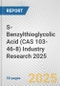 S-Benzylthioglycolic Acid (CAS 103-46-8) Industry Research 2025: Global and Regional Market Trends 2019-2024 and Forecast to 2029 - Product Thumbnail Image
