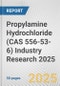 Propylamine Hydrochloride (CAS 556-53-6) Industry Research 2025: Global and Regional Market Trends 2019-2024 and Forecast to 2029 - Product Image