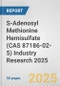 S-Adenosyl Methionine Hemisulfate (CAS 87186-02-5) Industry Research 2025: Global and Regional Market Trends 2019-2024 and Forecast to 2029 - Product Thumbnail Image