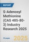S-Adenosyl Methionine (CAS 485-80-3) Industry Research 2025: Global and Regional Market Trends 2019-2024 and Forecast to 2029 - Product Thumbnail Image