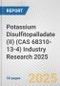 Potassium Disulfitopalladate (II) (CAS 68310-13-4) Industry Research 2025: Global and Regional Market Trends 2019-2024 and Forecast to 2029 - Product Image