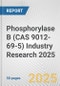 Phosphorylase B (CAS 9012-69-5) Industry Research 2025: Global and Regional Market Trends 2019-2024 and Forecast to 2029 - Product Image