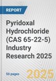 Pyridoxal Hydrochloride (CAS 65-22-5) Industry Research 2025: Global and Regional Market Trends 2019-2024 and Forecast to 2029- Product Image
