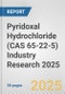 Pyridoxal Hydrochloride (CAS 65-22-5) Industry Research 2025: Global and Regional Market Trends 2019-2024 and Forecast to 2029 - Product Image