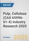 Pulp, Cellulose (CAS 65996-61-4) Industry Research 2025: Global and Regional Market Trends 2019-2024 and Forecast to 2029 - Product Thumbnail Image