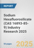 Sodium Hexafluorosilicate (CAS 16893-85-9) Industry Research 2025: Global and Regional Market Trends 2019-2024 and Forecast to 2029- Product Image