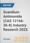 Scandium Antimonide (CAS 12166-36-8) Industry Research 2025: Global and Regional Market Trends 2019-2024 and Forecast to 2029 - Product Thumbnail Image