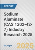Sodium Aluminate (CAS 1302-42-7) Industry Research 2025: Global and Regional Market Trends 2019-2024 and Forecast to 2029- Product Image
