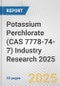 Potassium Perchlorate (CAS 7778-74-7) Industry Research 2025: Global and Regional Market Trends 2019-2024 and Forecast to 2029 - Product Image