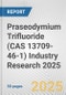 Praseodymium Trifluoride (CAS 13709-46-1) Industry Research 2025: Global and Regional Market Trends 2019-2024 and Forecast to 2029 - Product Image