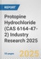 Protopine Hydrochloride (CAS 6164-47-2) Industry Research 2025: Global and Regional Market Trends 2019-2024 and Forecast to 2029 - Product Image