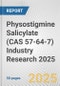 Physostigmine Salicylate (CAS 57-64-7) Industry Research 2025: Global and Regional Market Trends 2019-2024 and Forecast to 2029 - Product Image