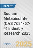 Sodium Metabisulfite (CAS 7681-57-4) Industry Research 2025: Global and Regional Market Trends 2019-2024 and Forecast to 2029- Product Image