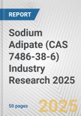 Sodium Adipate (CAS 7486-38-6) Industry Research 2025: Global and Regional Market Trends 2019-2024 and Forecast to 2029- Product Image