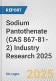 Sodium Pantothenate (CAS 867-81-2) Industry Research 2025: Global and Regional Market Trends 2019-2024 and Forecast to 2029- Product Image