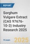Sorghum Vulgare Extract (CAS 97676-10-3) Industry Research 2025: Global and Regional Market Trends 2019-2024 and Forecast to 2029 - Product Thumbnail Image